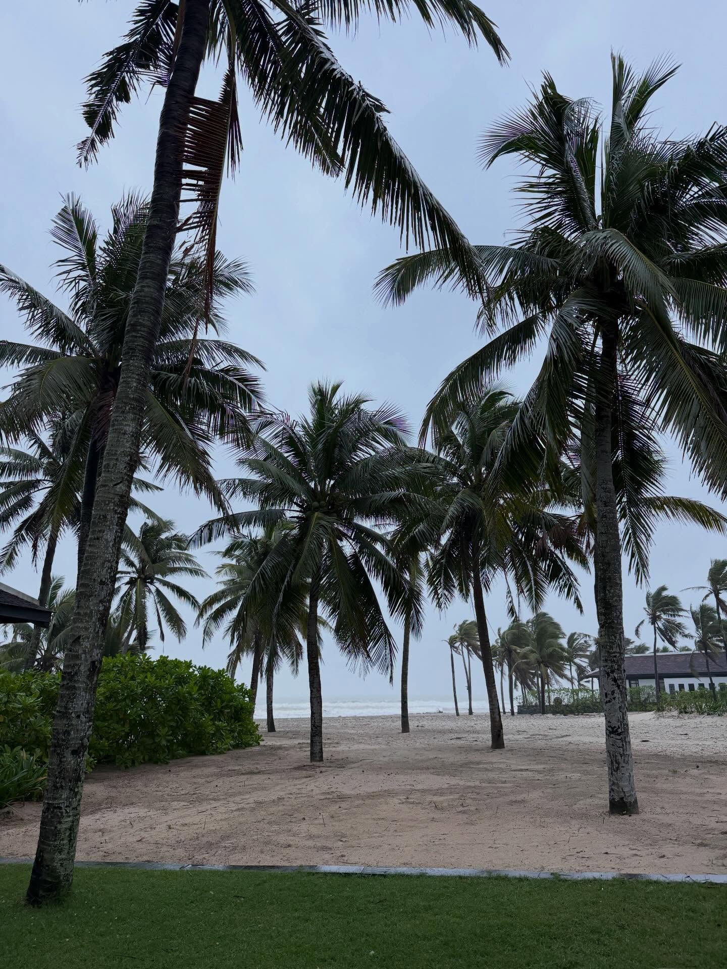 เฟิร์น - นพจิรา ฤกษ์ขจรนามกุล