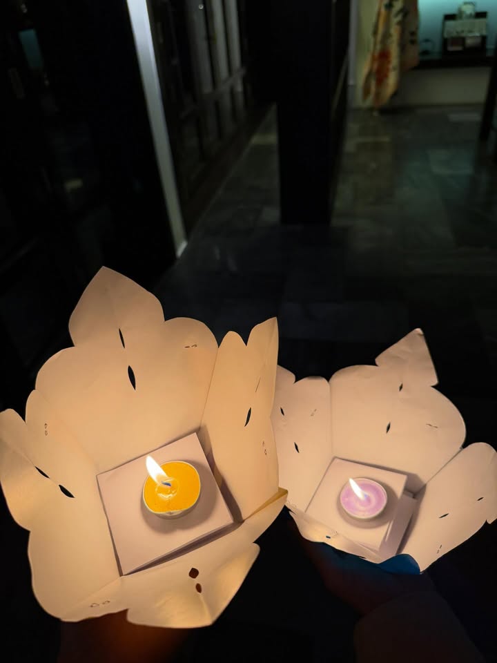 เฟิร์น - นพจิรา ฤกษ์ขจรนามกุล