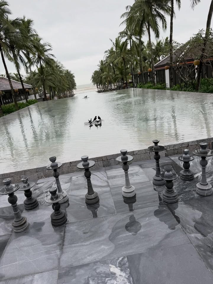 เฟิร์น - นพจิรา ฤกษ์ขจรนามกุล