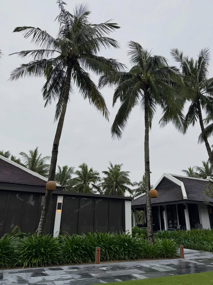 เฟิร์น - นพจิรา ฤกษ์ขจรนามกุล