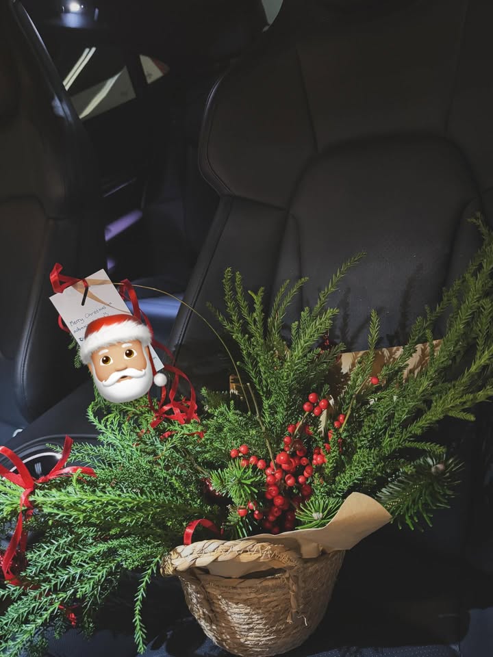 เฟิร์น - นพจิรา ฤกษ์ขจรนามกุล