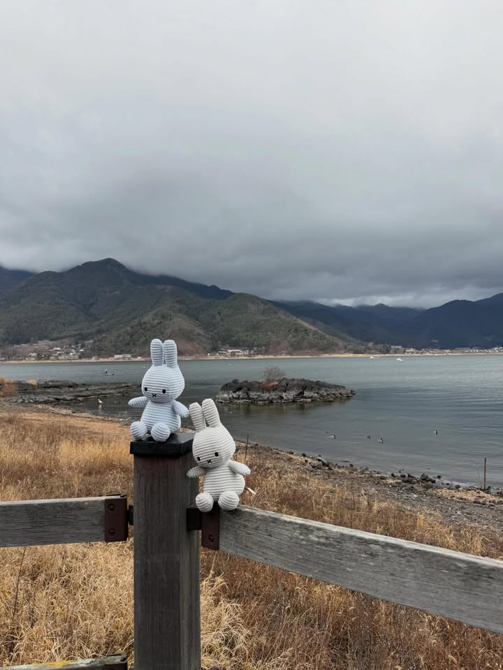 เฟิร์น - นพจิรา ฤกษ์ขจรนามกุล