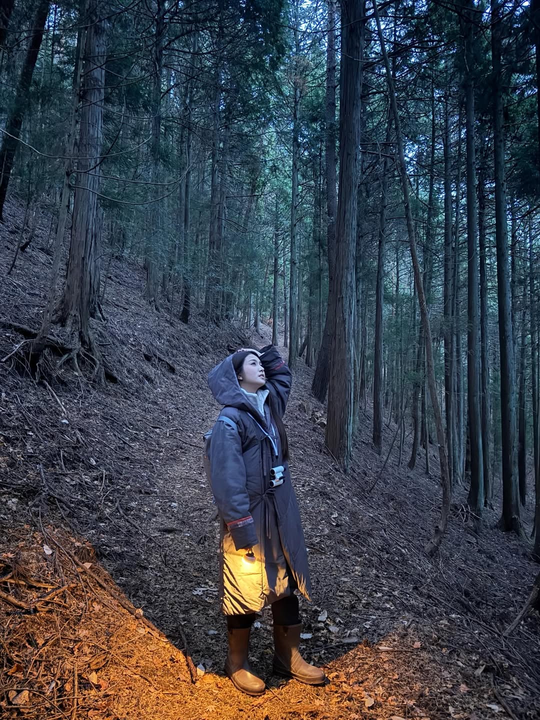 เฟิร์น - นพจิรา ฤกษ์ขจรนามกุล