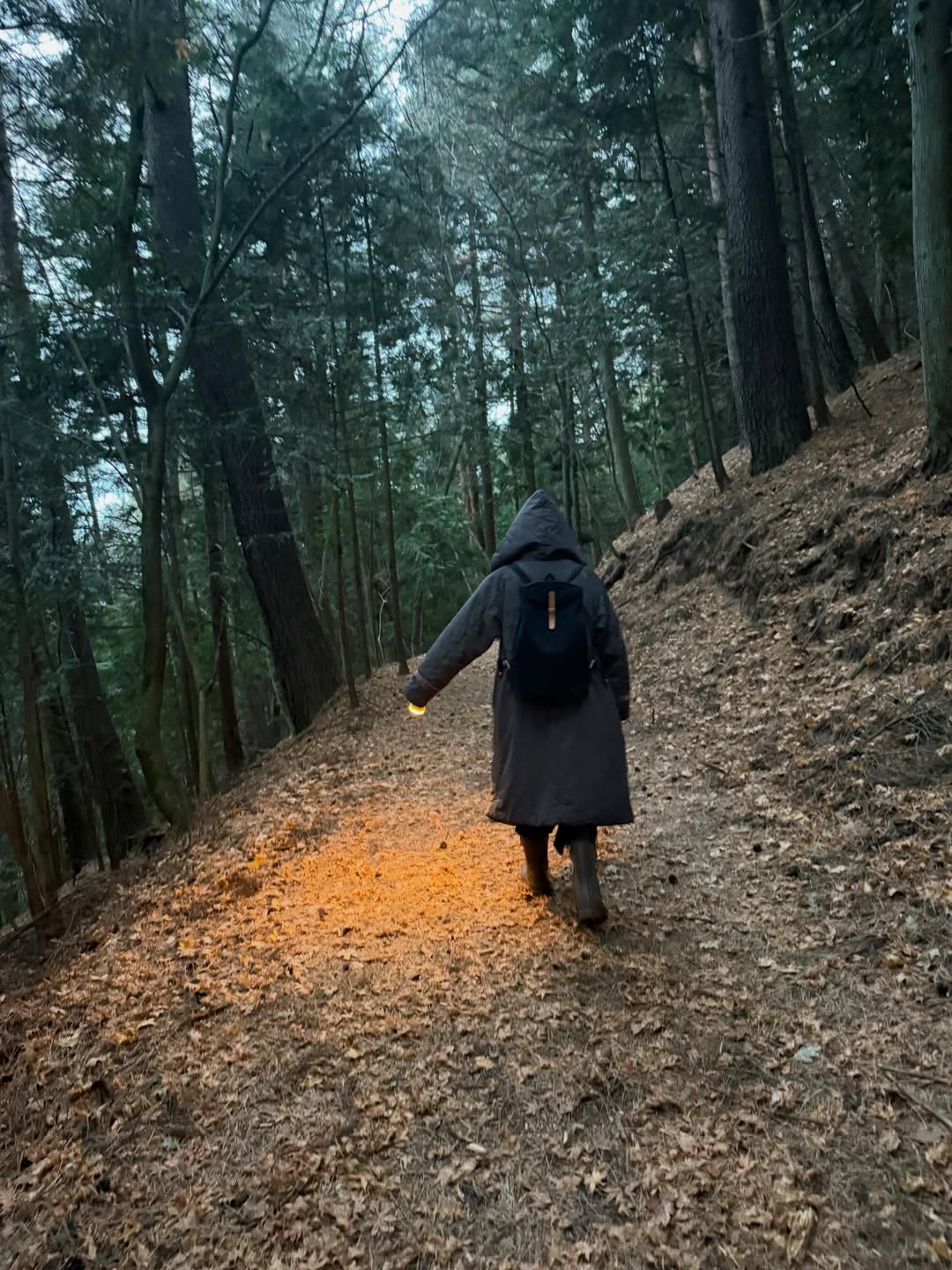 เฟิร์น - นพจิรา ฤกษ์ขจรนามกุล