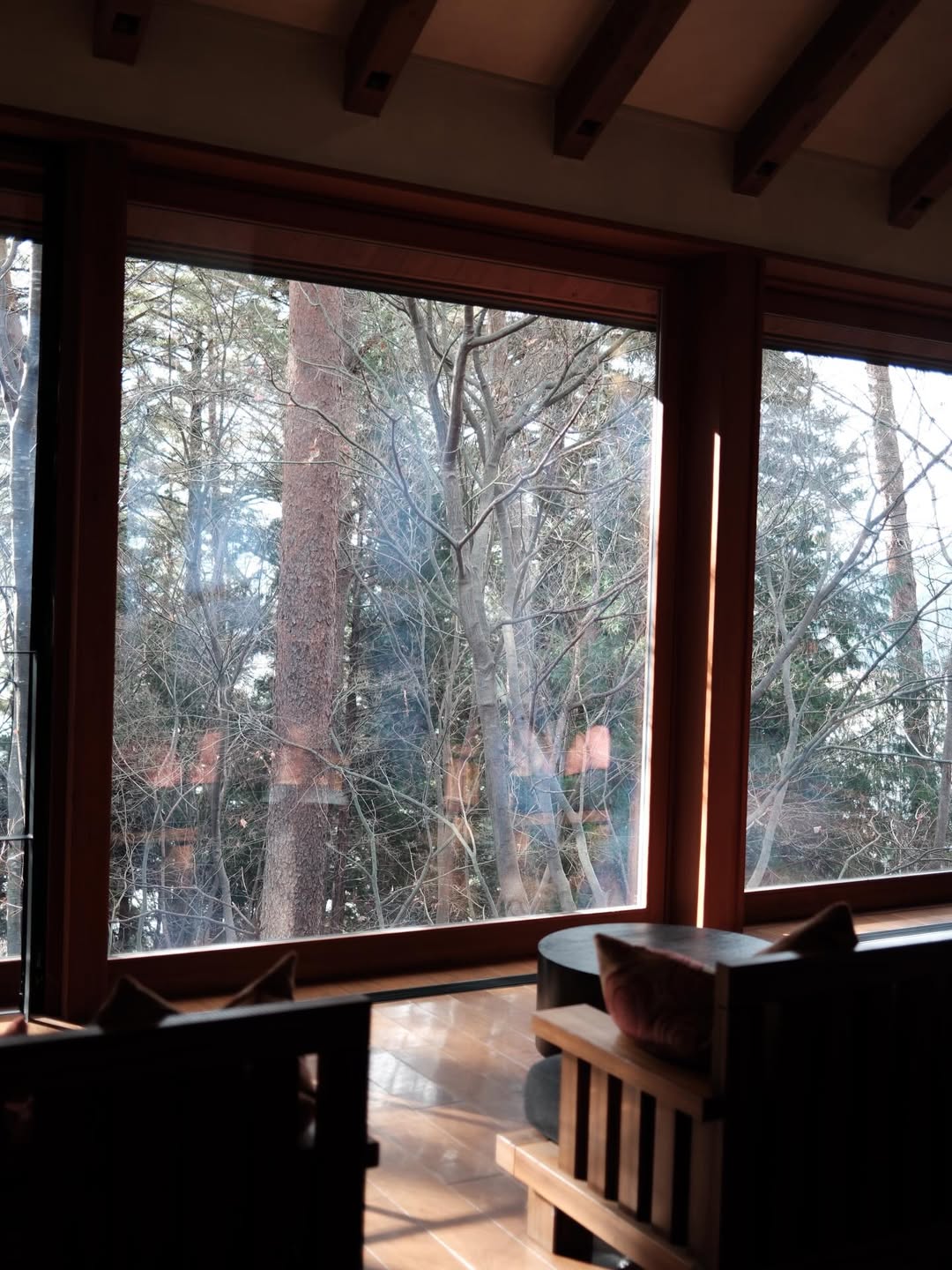 เฟิร์น - นพจิรา ฤกษ์ขจรนามกุล