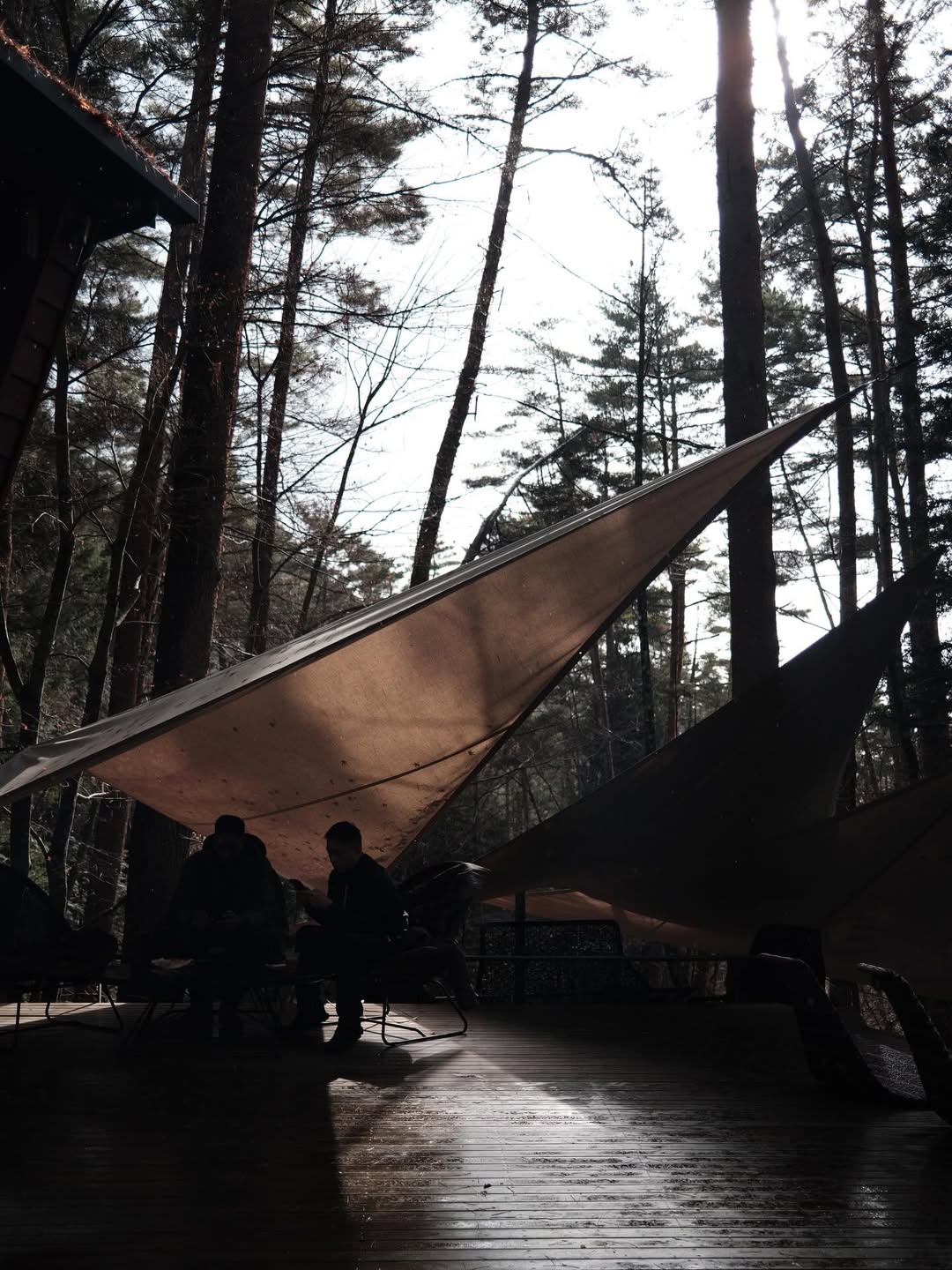 เฟิร์น - นพจิรา ฤกษ์ขจรนามกุล