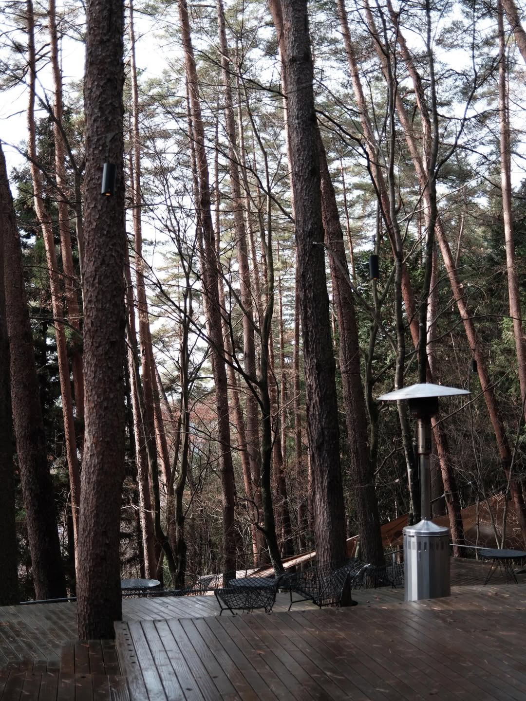 เฟิร์น - นพจิรา ฤกษ์ขจรนามกุล