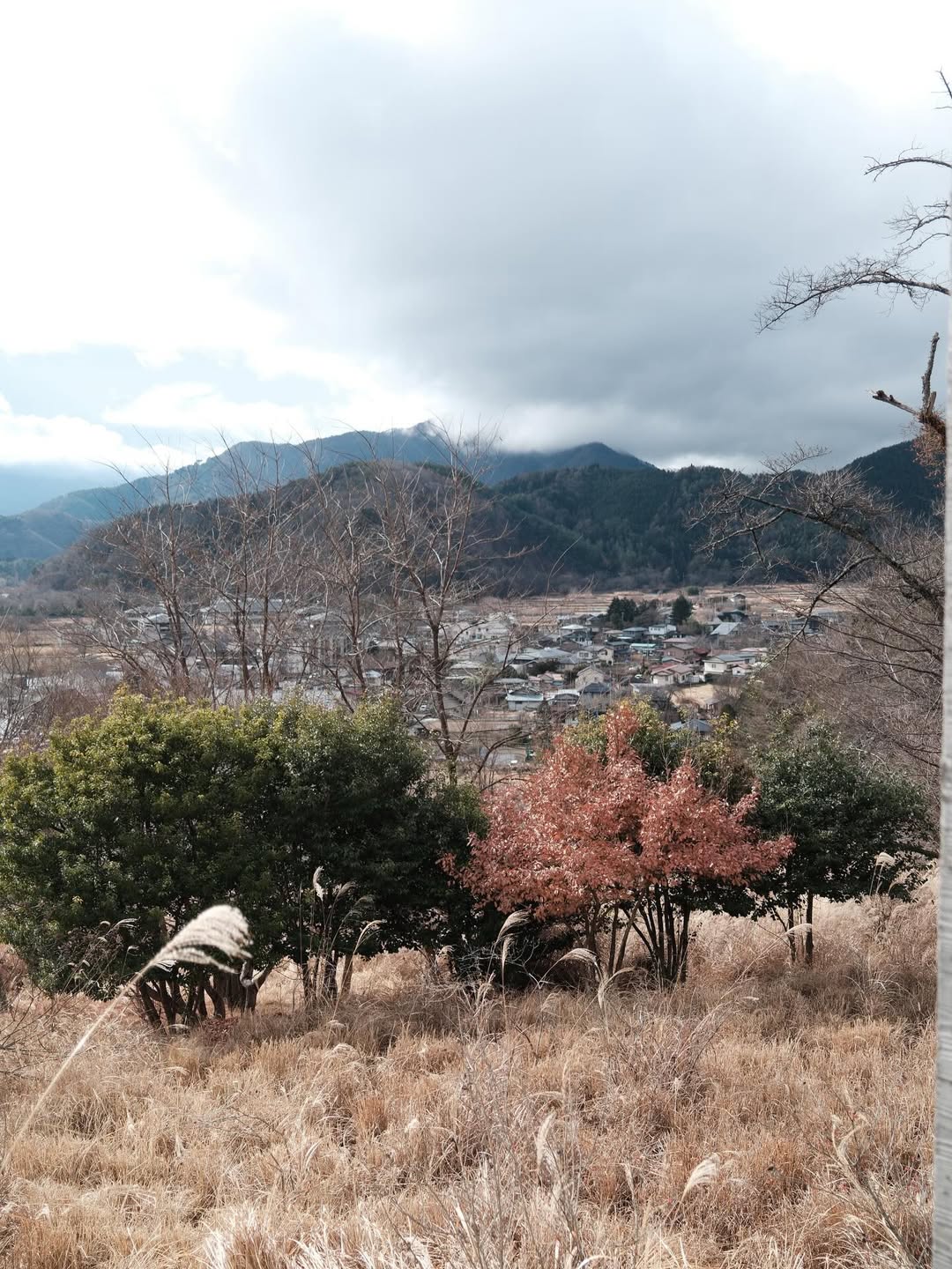 เฟิร์น - นพจิรา ฤกษ์ขจรนามกุล