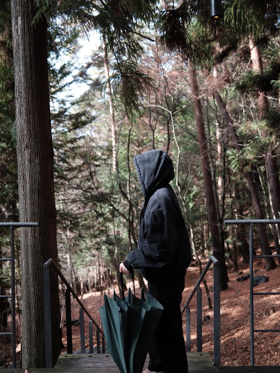 เฟิร์น - นพจิรา ฤกษ์ขจรนามกุล