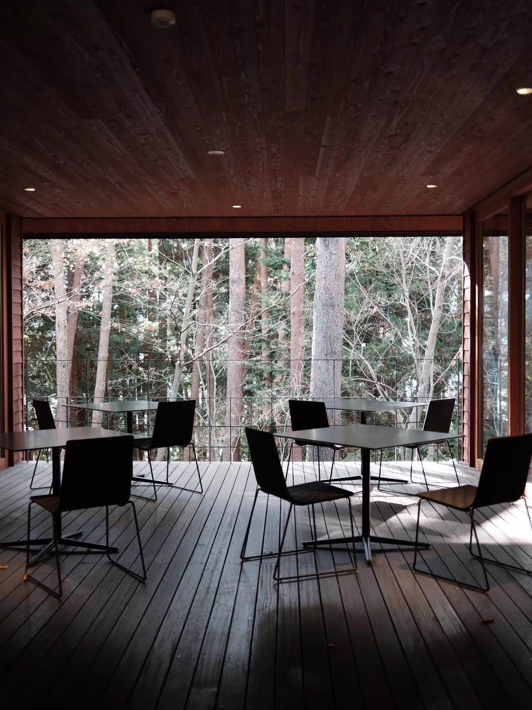 เฟิร์น - นพจิรา ฤกษ์ขจรนามกุล