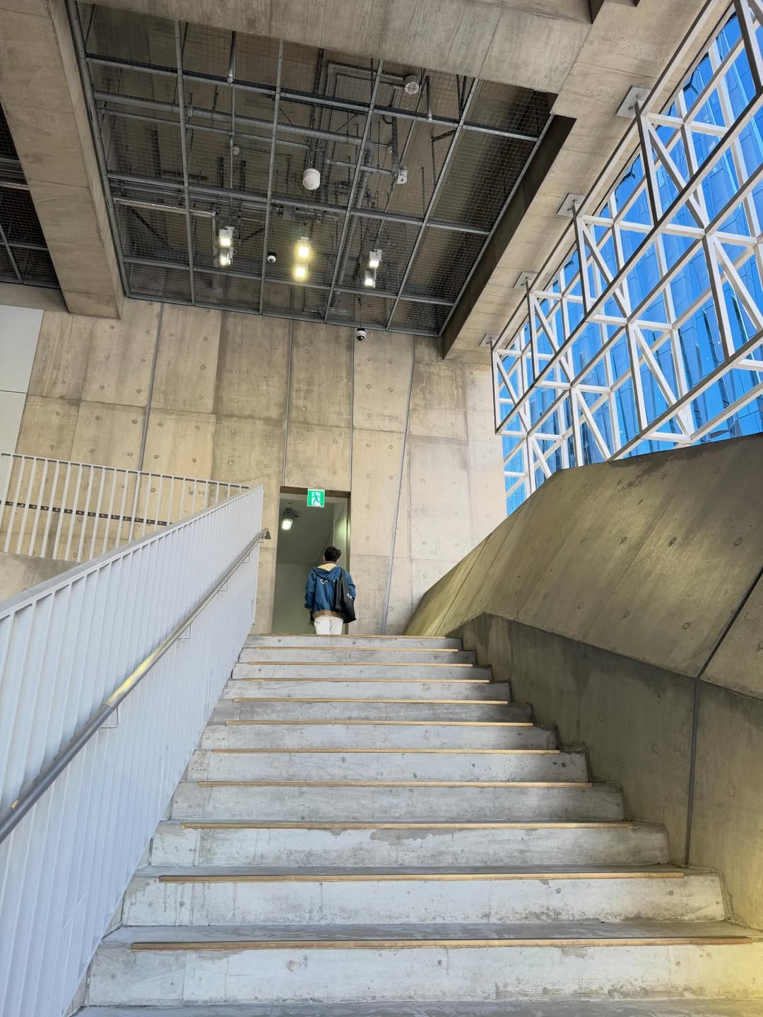 เฟิร์น - นพจิรา ฤกษ์ขจรนามกุล