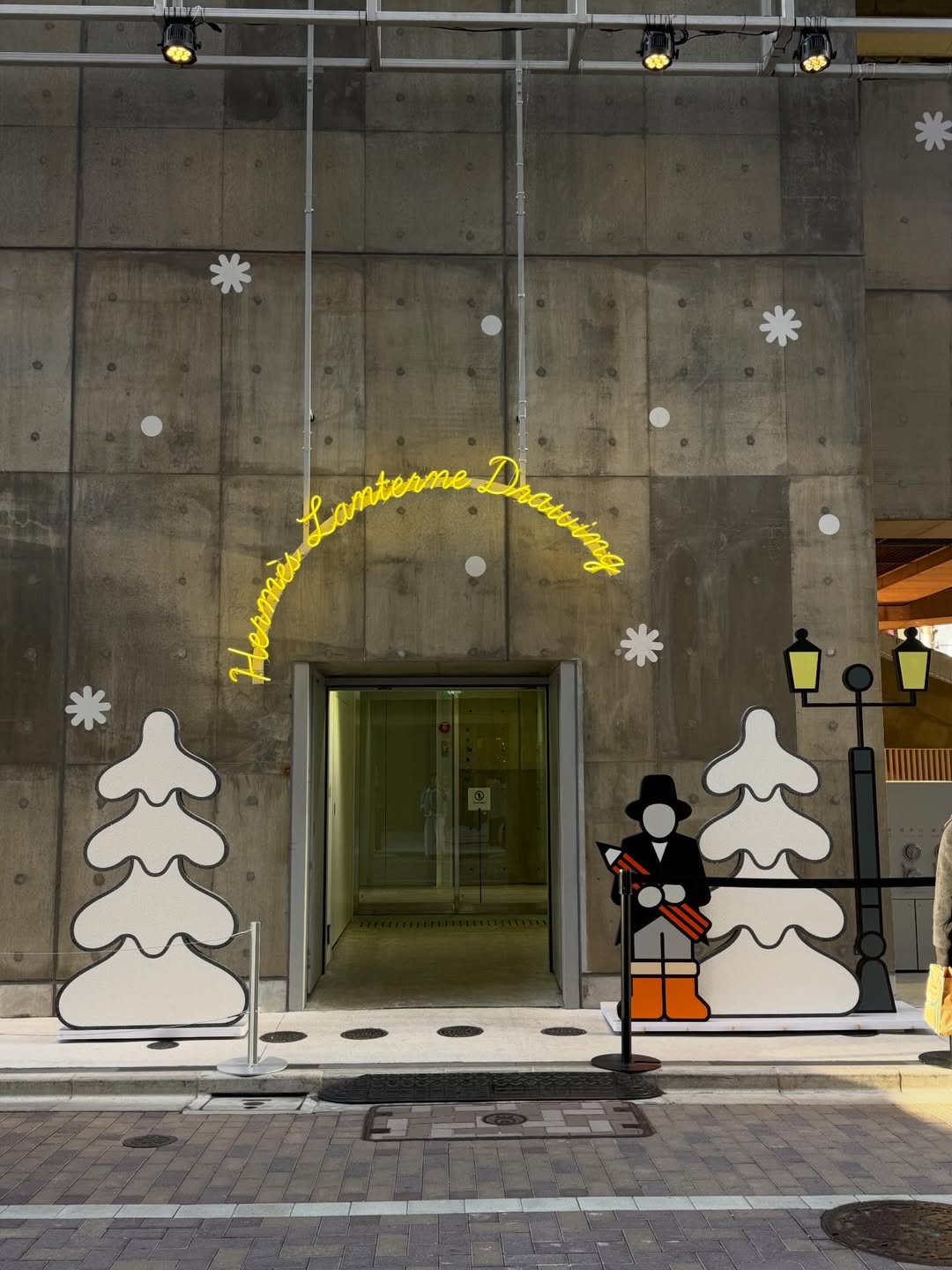 เฟิร์น - นพจิรา ฤกษ์ขจรนามกุล