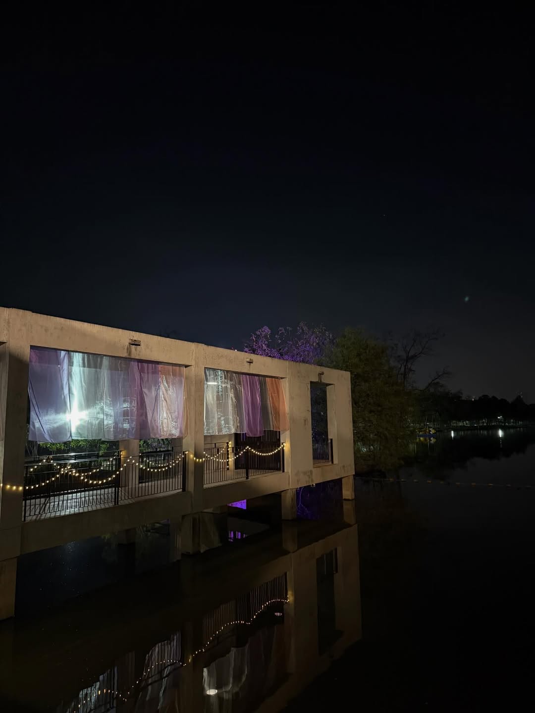 เฟิร์น - นพจิรา ฤกษ์ขจรนามกุล