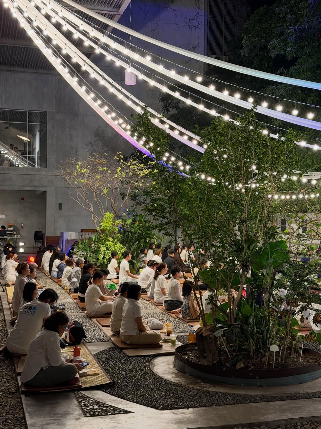 เฟิร์น - นพจิรา ฤกษ์ขจรนามกุล