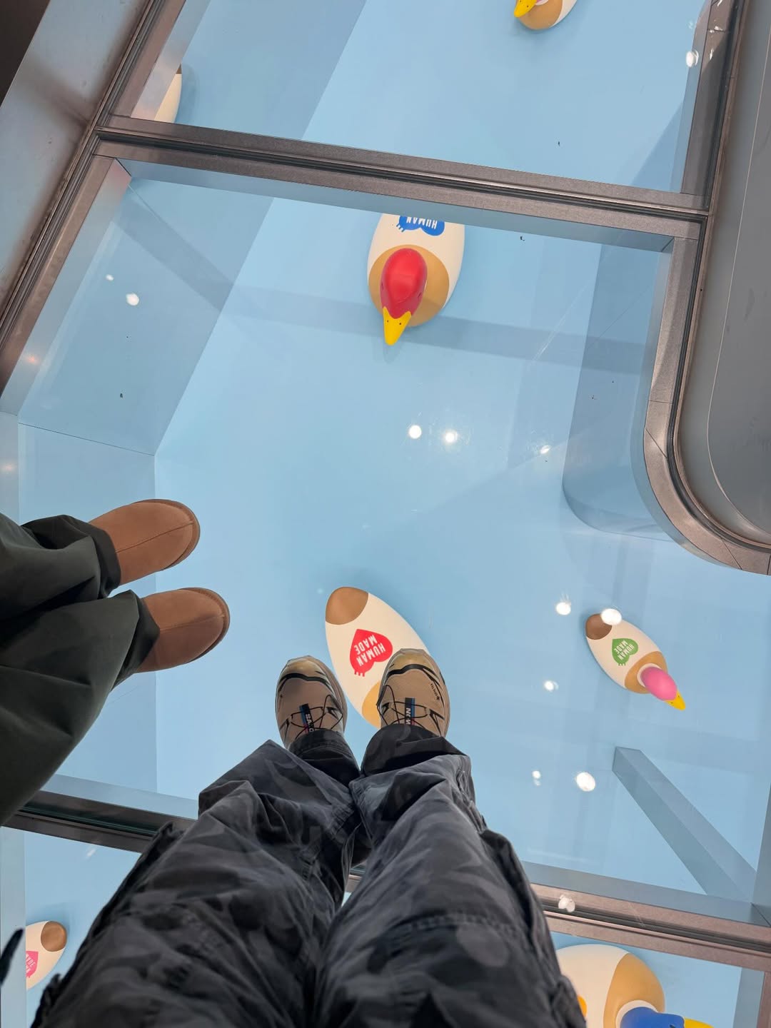 เฟิร์น - นพจิรา ฤกษ์ขจรนามกุล