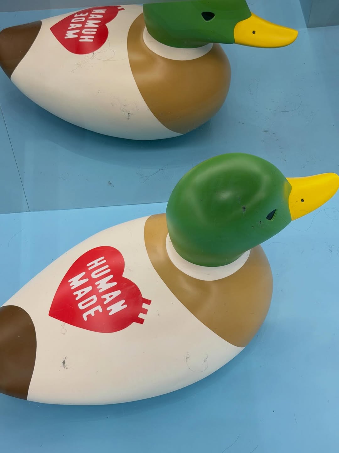 เฟิร์น - นพจิรา ฤกษ์ขจรนามกุล