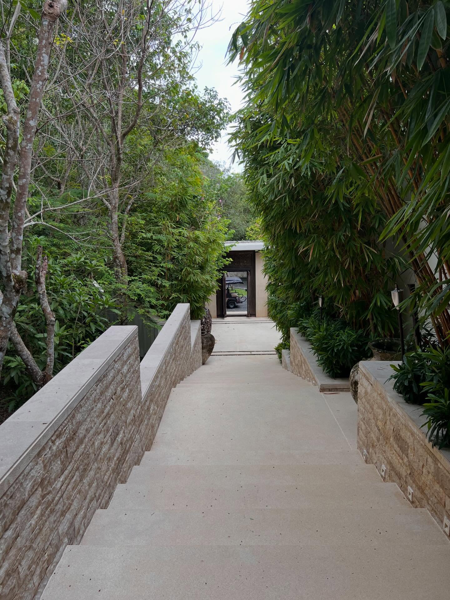 เฟิร์น - นพจิรา ฤกษ์ขจรนามกุล