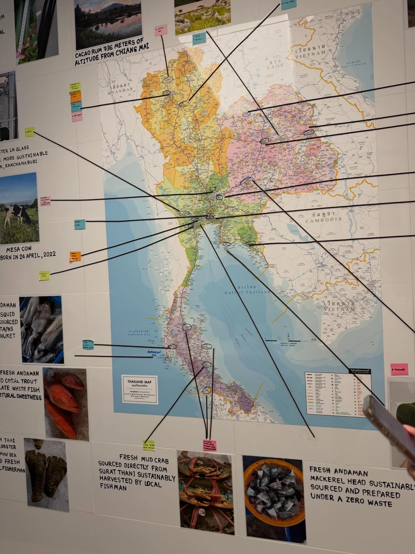 เฟิร์น - นพจิรา ฤกษ์ขจรนามกุล