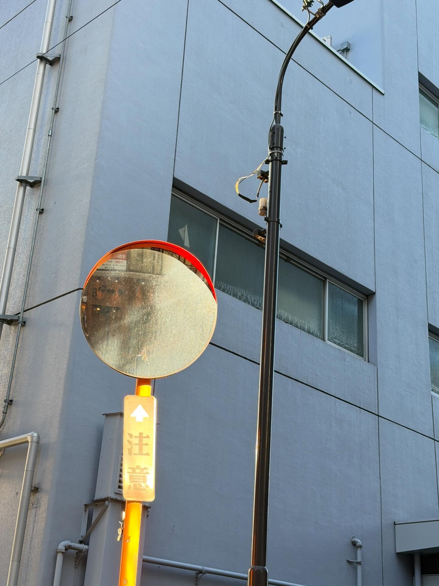 เฟิร์น - นพจิรา ฤกษ์ขจรนามกุล