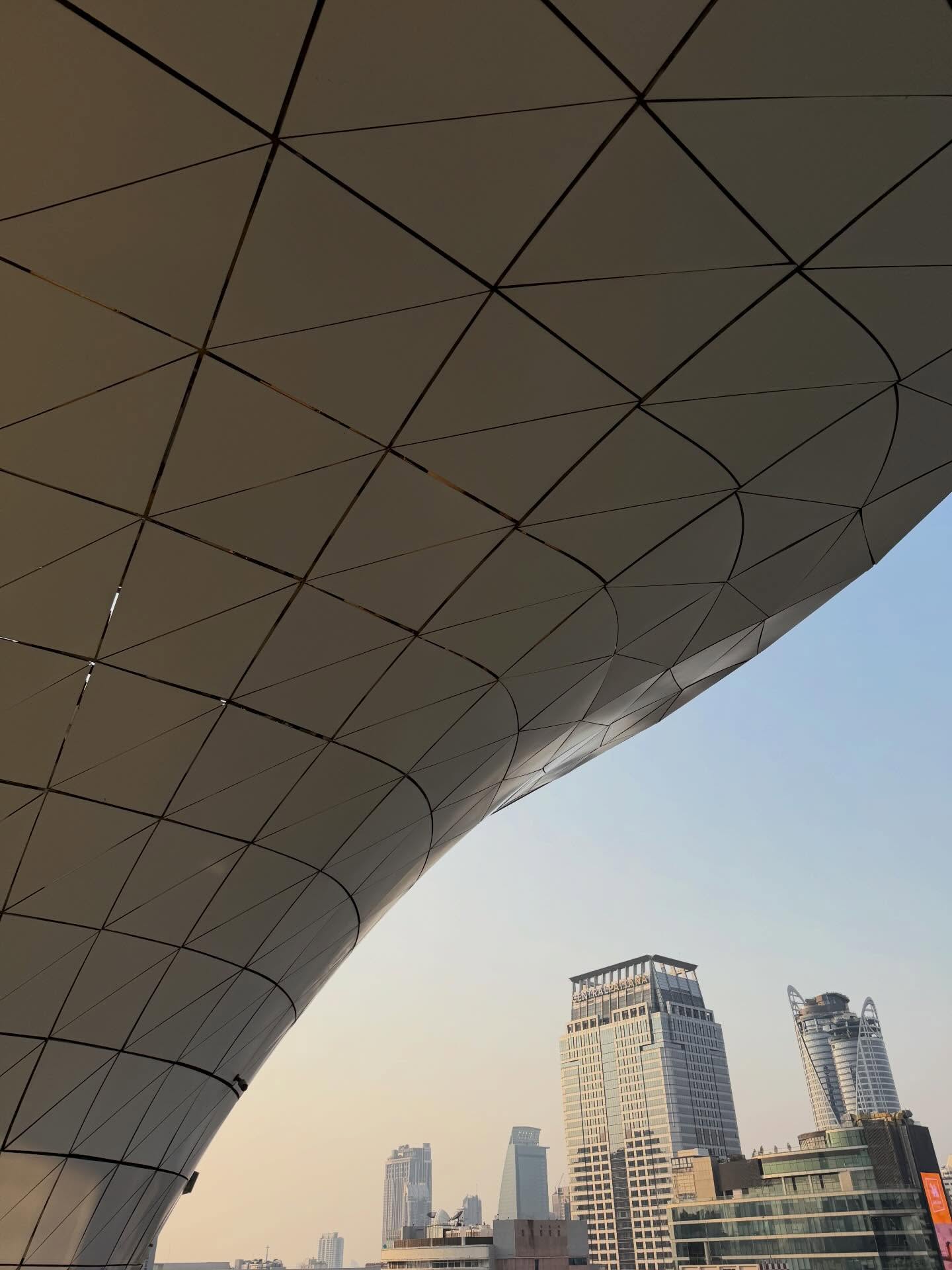 เฟิร์น - นพจิรา ฤกษ์ขจรนามกุล