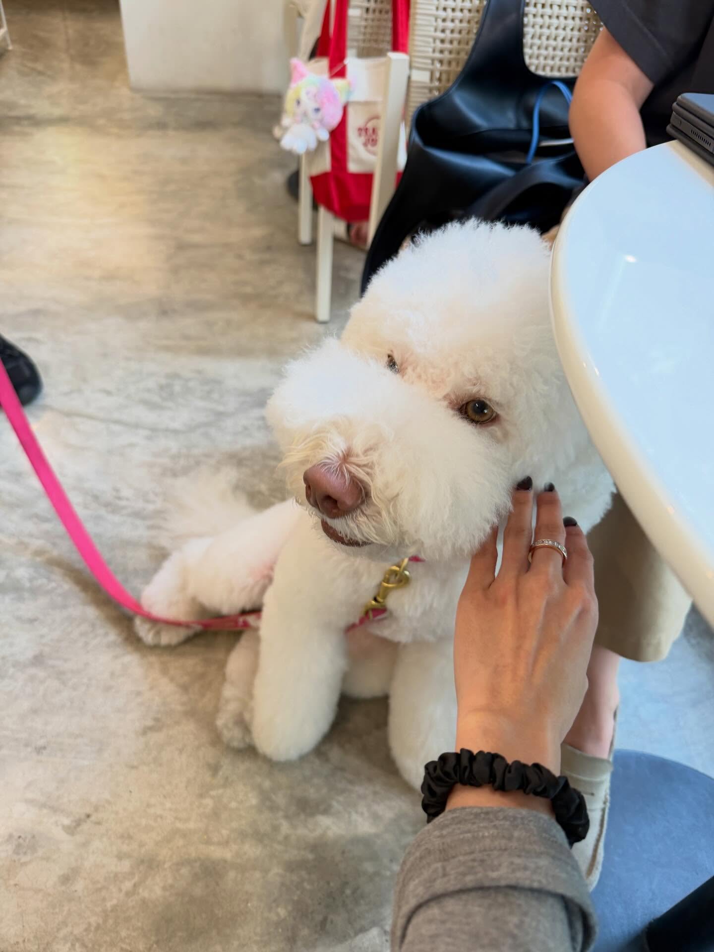 เฟิร์น - นพจิรา ฤกษ์ขจรนามกุล