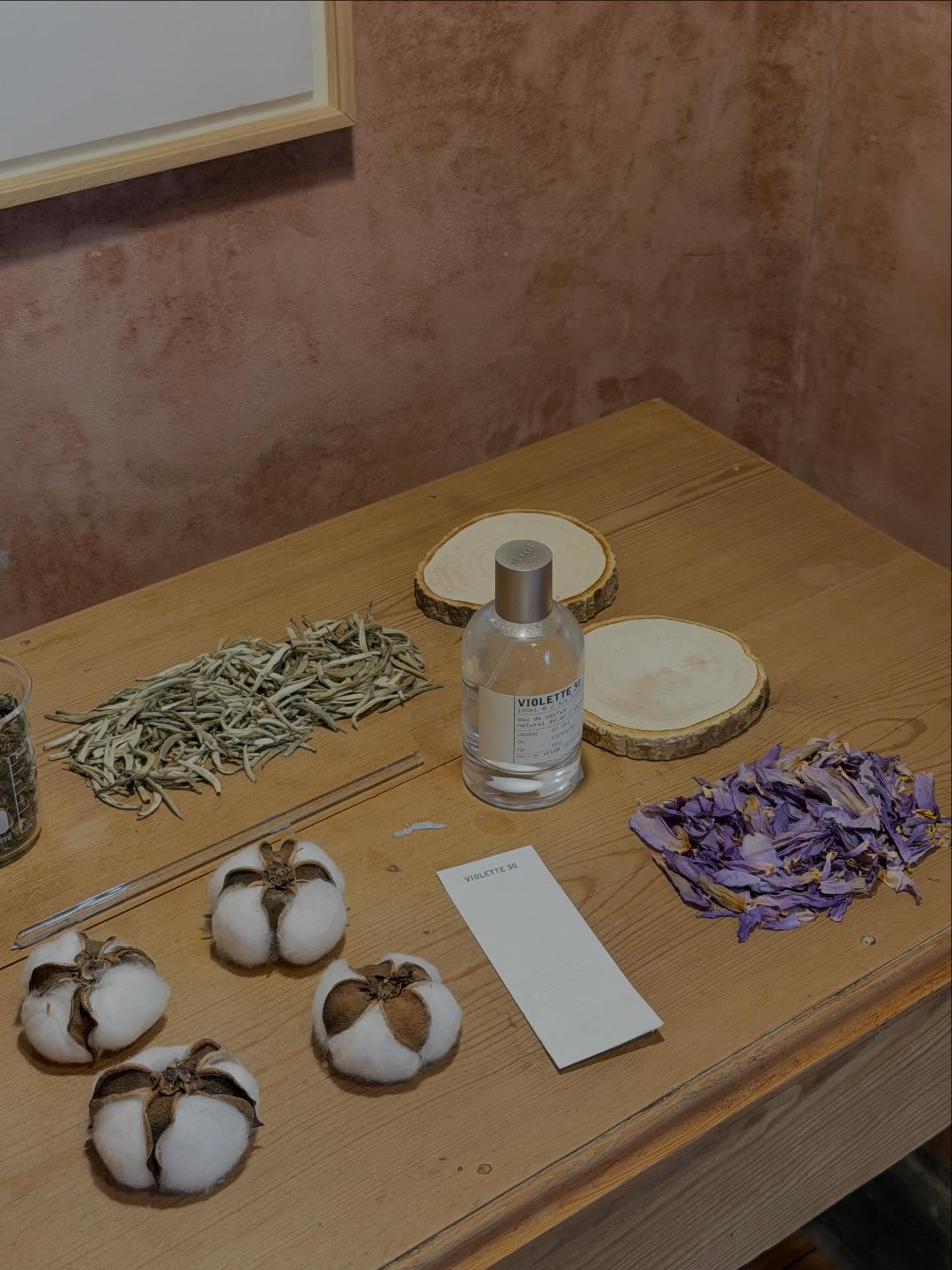 เฟิร์น - นพจิรา ฤกษ์ขจรนามกุล