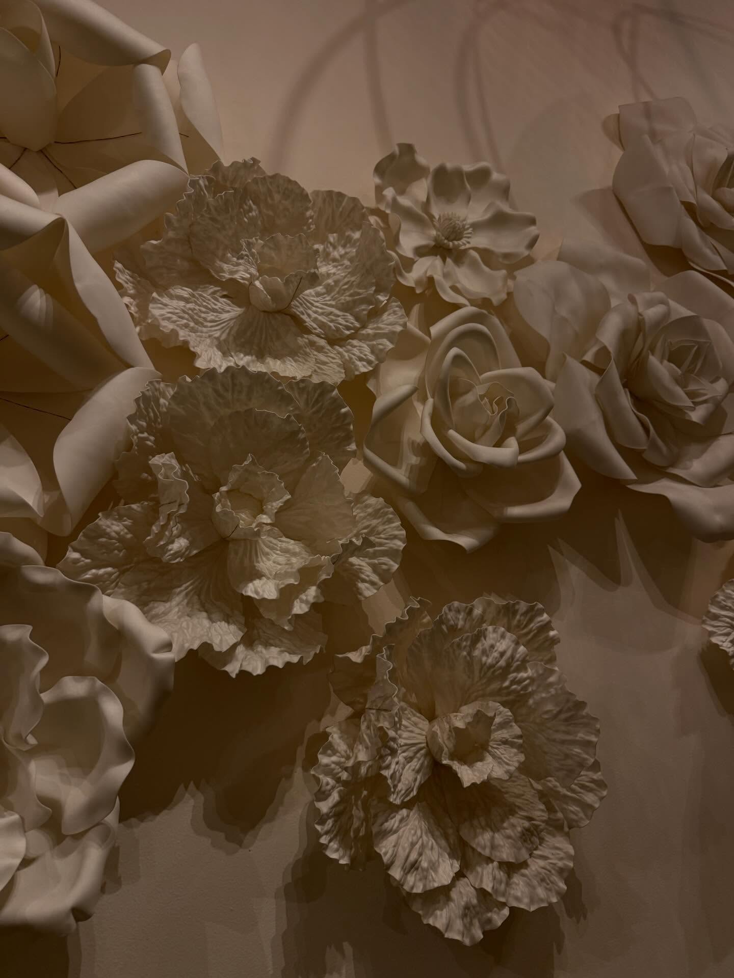 เฟิร์น - นพจิรา ฤกษ์ขจรนามกุล