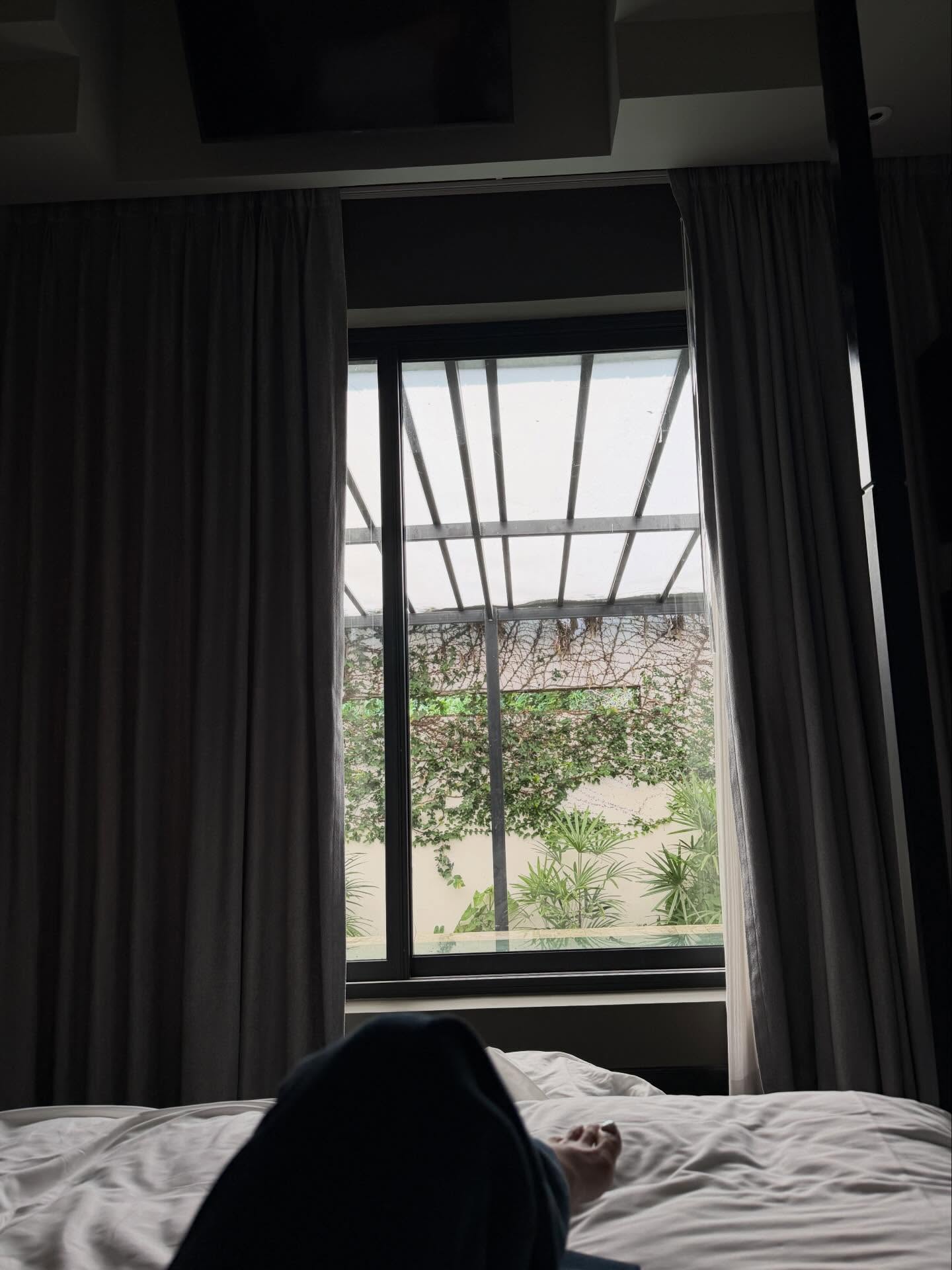 เฟิร์น - นพจิรา ฤกษ์ขจรนามกุล