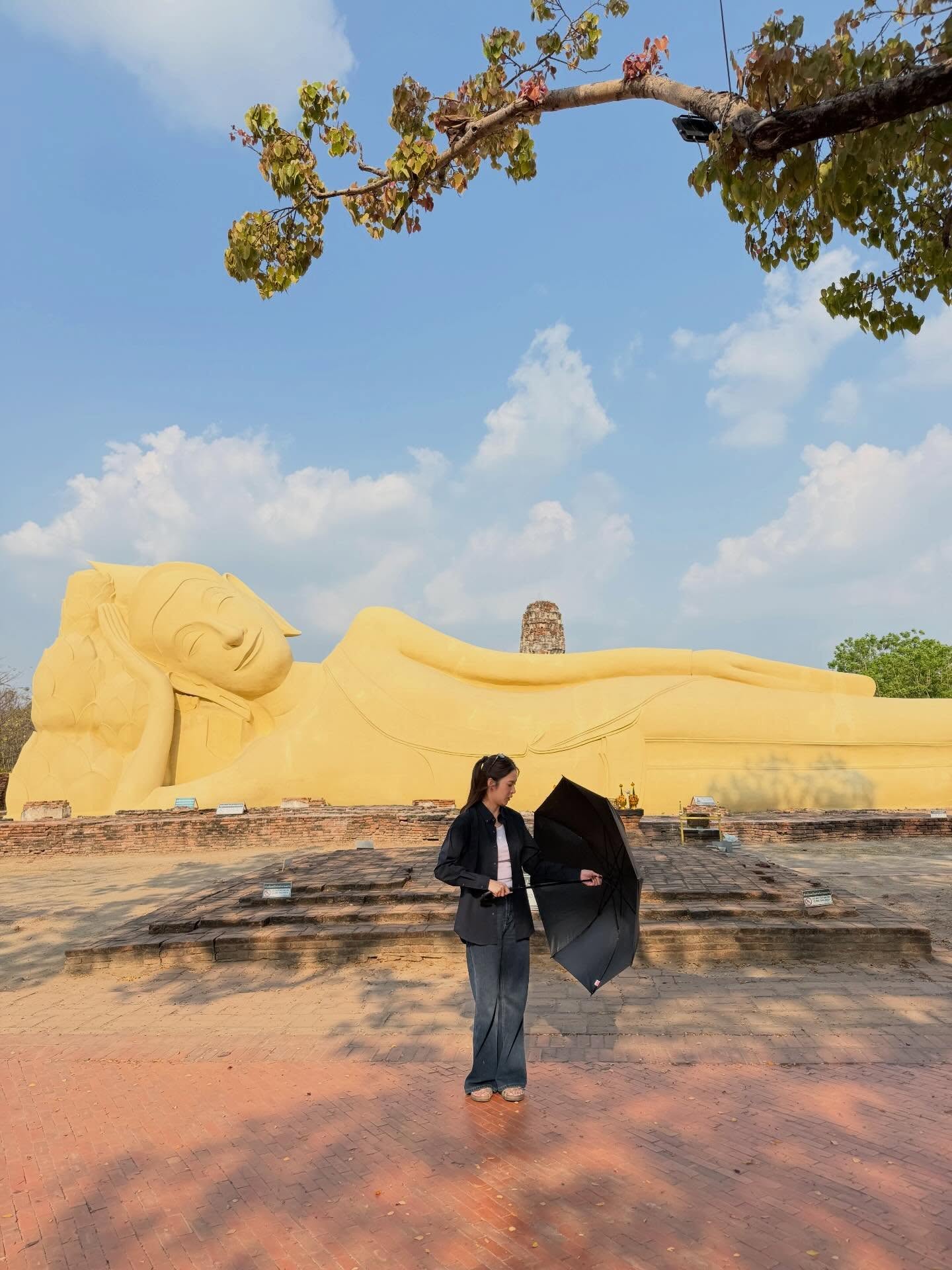 เฟิร์น - นพจิรา ฤกษ์ขจรนามกุล