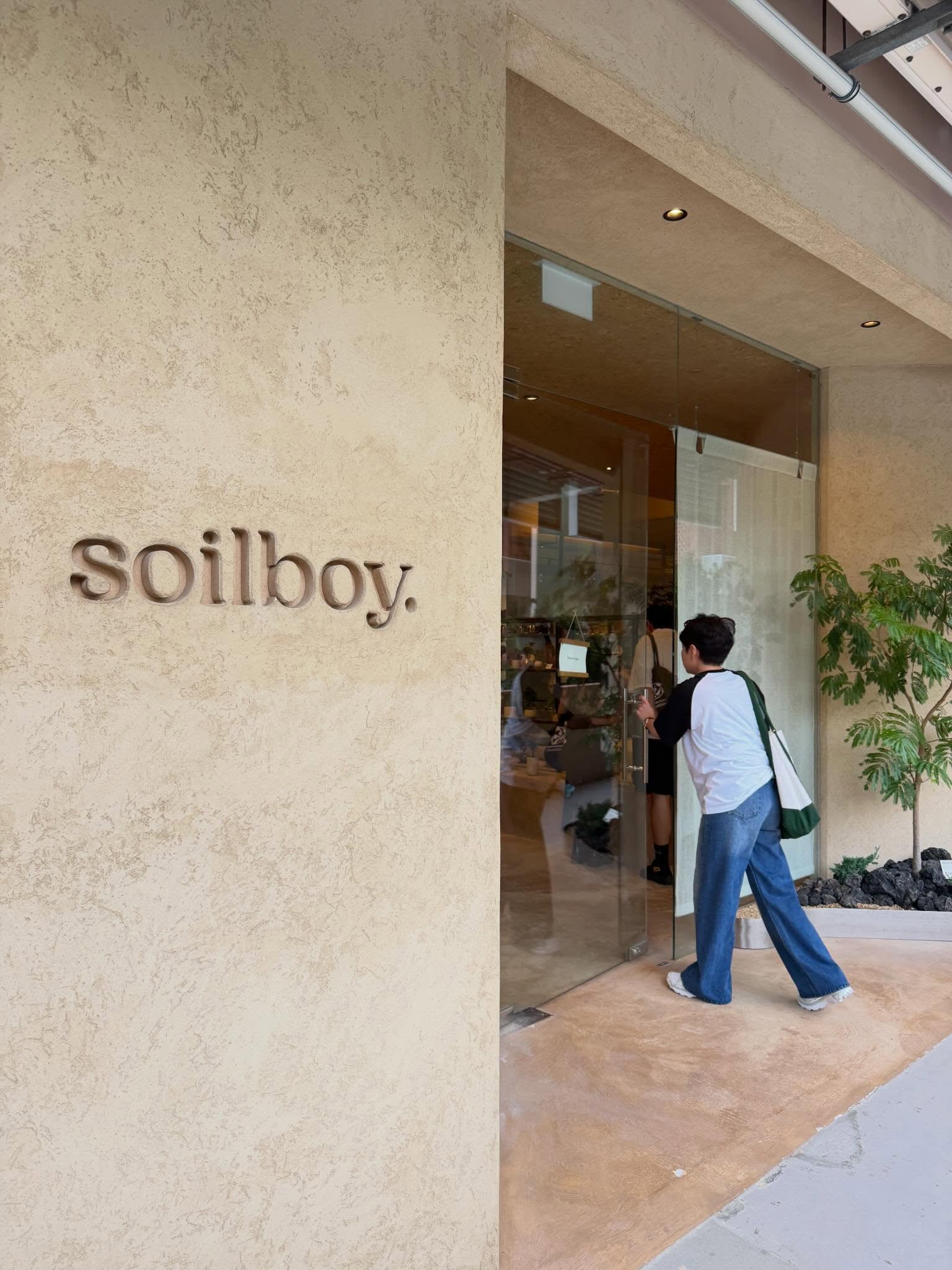 เฟิร์น - นพจิรา ฤกษ์ขจรนามกุล