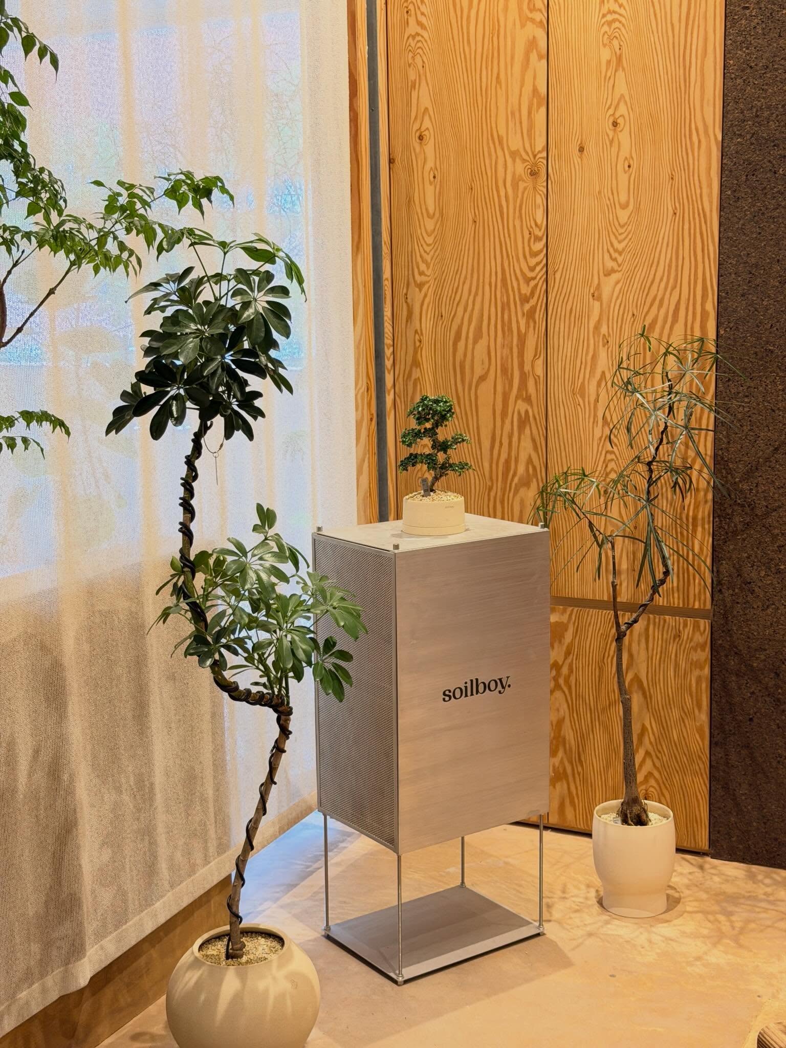 เฟิร์น - นพจิรา ฤกษ์ขจรนามกุล