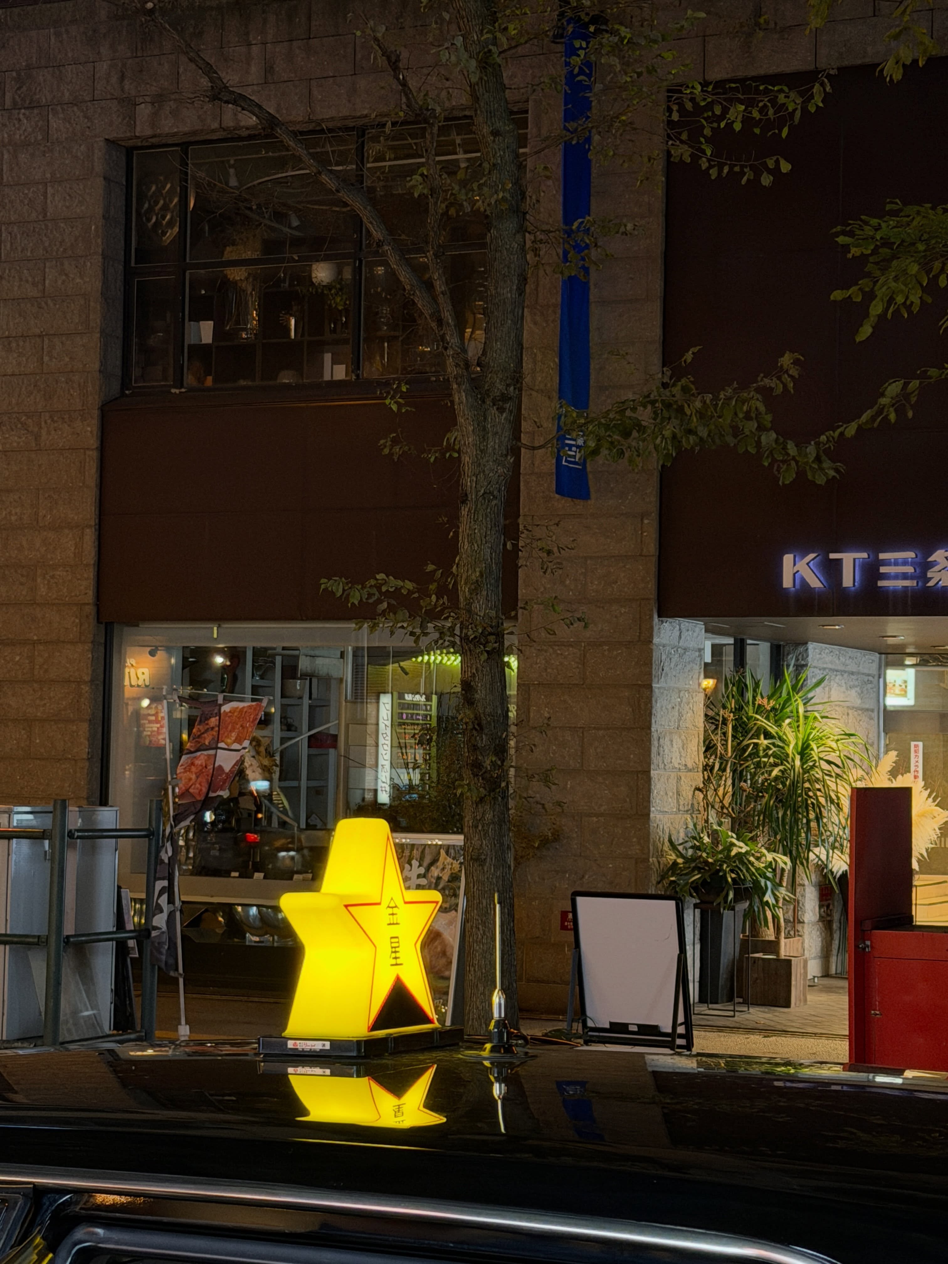 เฟิร์น - นพจิรา ฤกษ์ขจรนามกุล