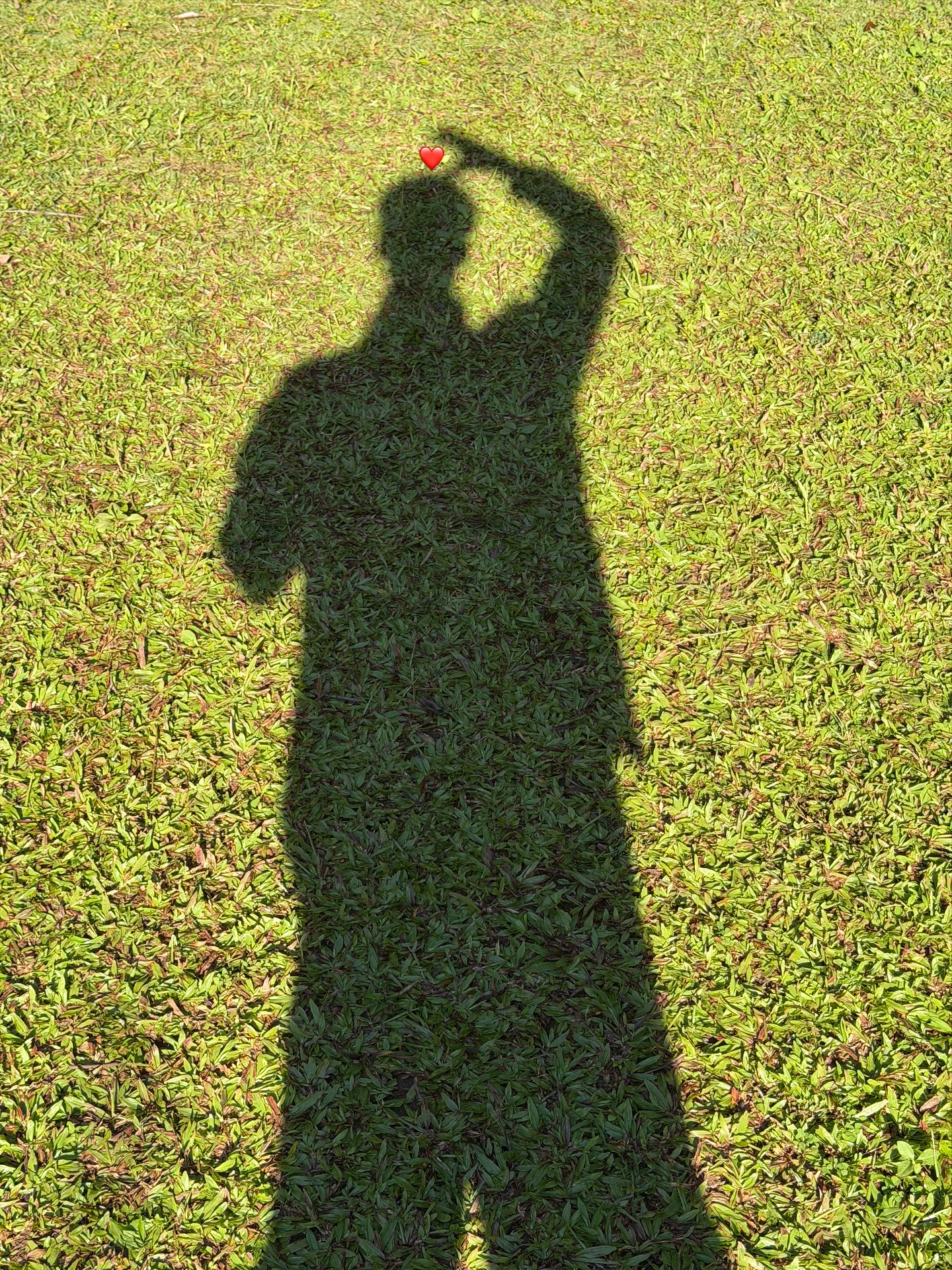 มีน - พีรวิชญ์ อรรถชิตสถาพร