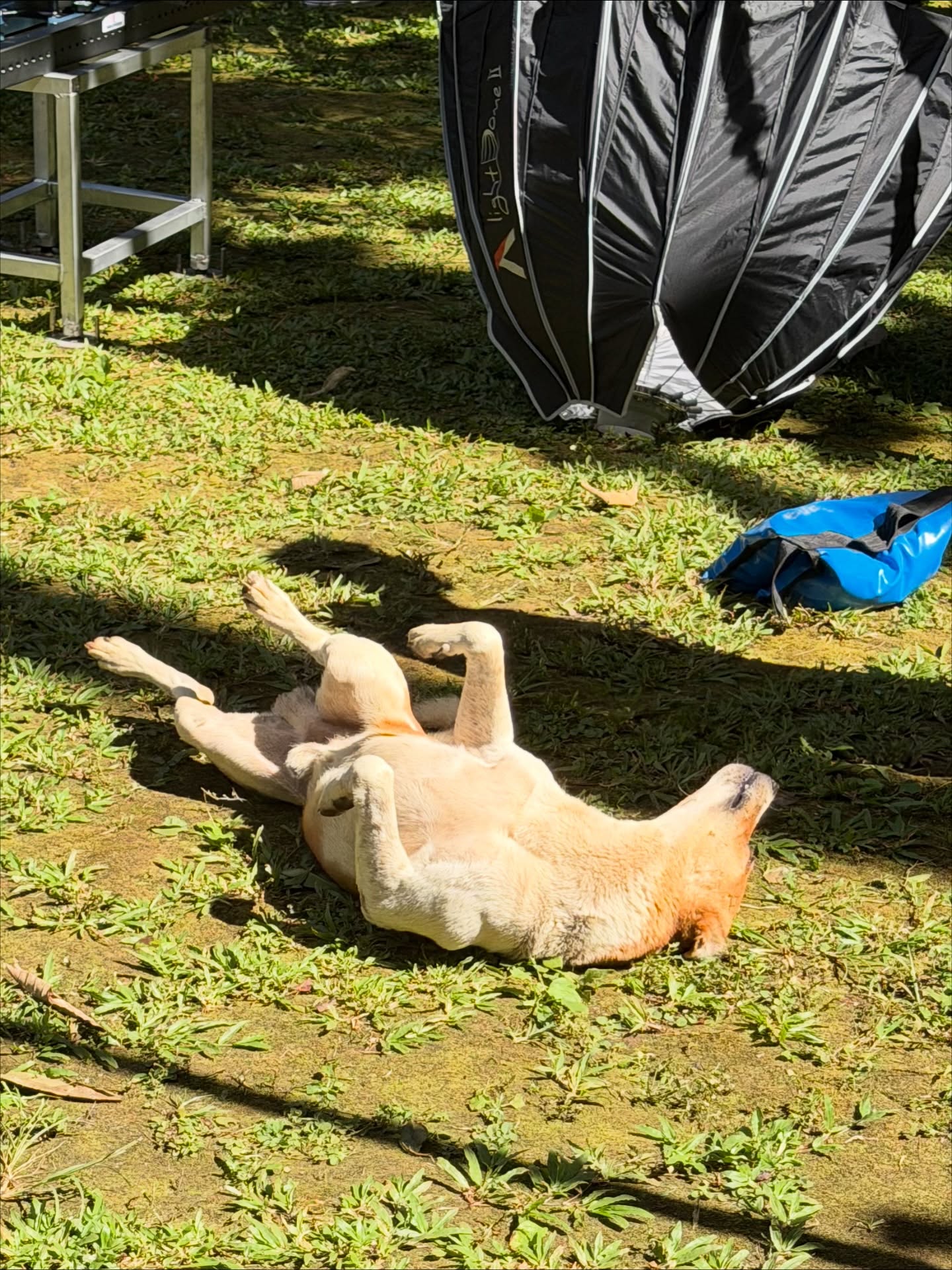 มีน - พีรวิชญ์ อรรถชิตสถาพร