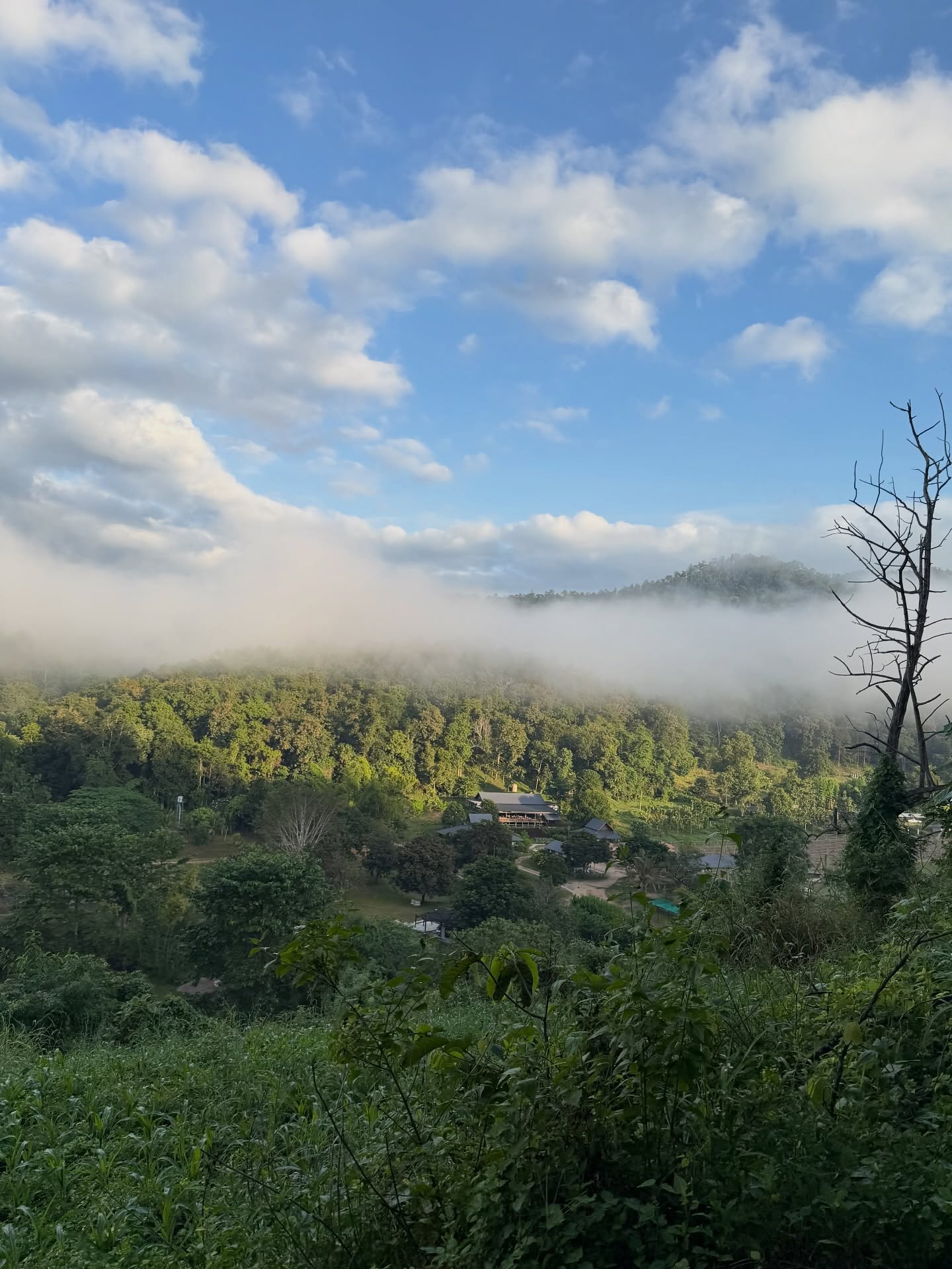 มีน - พีรวิชญ์ อรรถชิตสถาพร