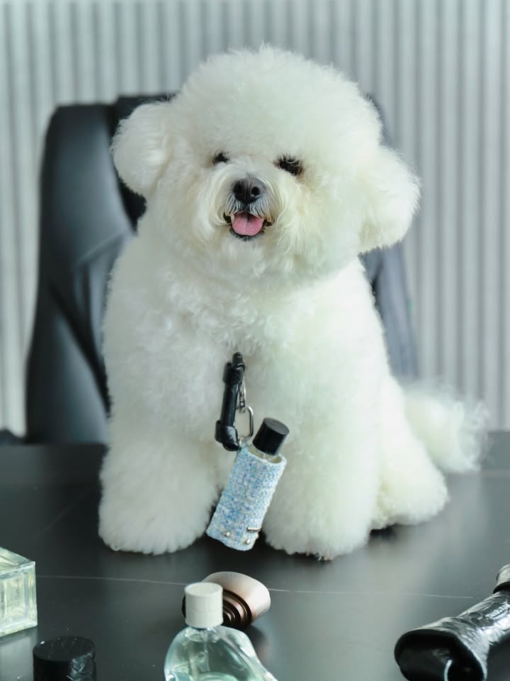 มีน - พีรวิชญ์ อรรถชิตสถาพร