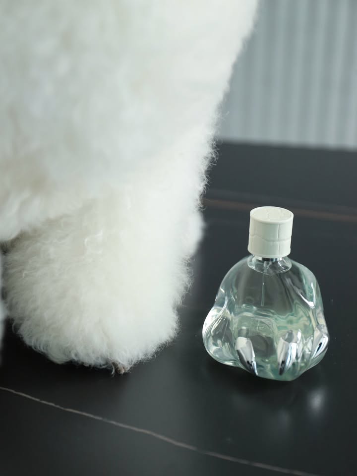 มีน - พีรวิชญ์ อรรถชิตสถาพร