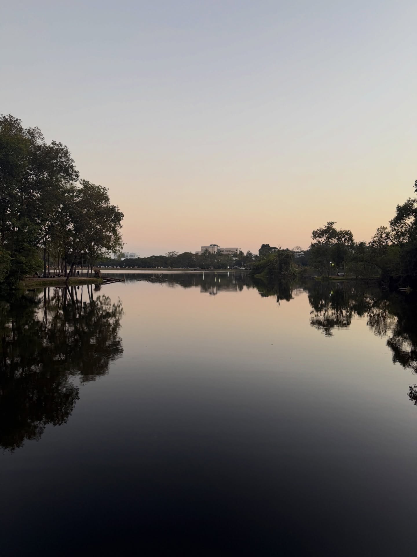 มีน - พีรวิชญ์ อรรถชิตสถาพร