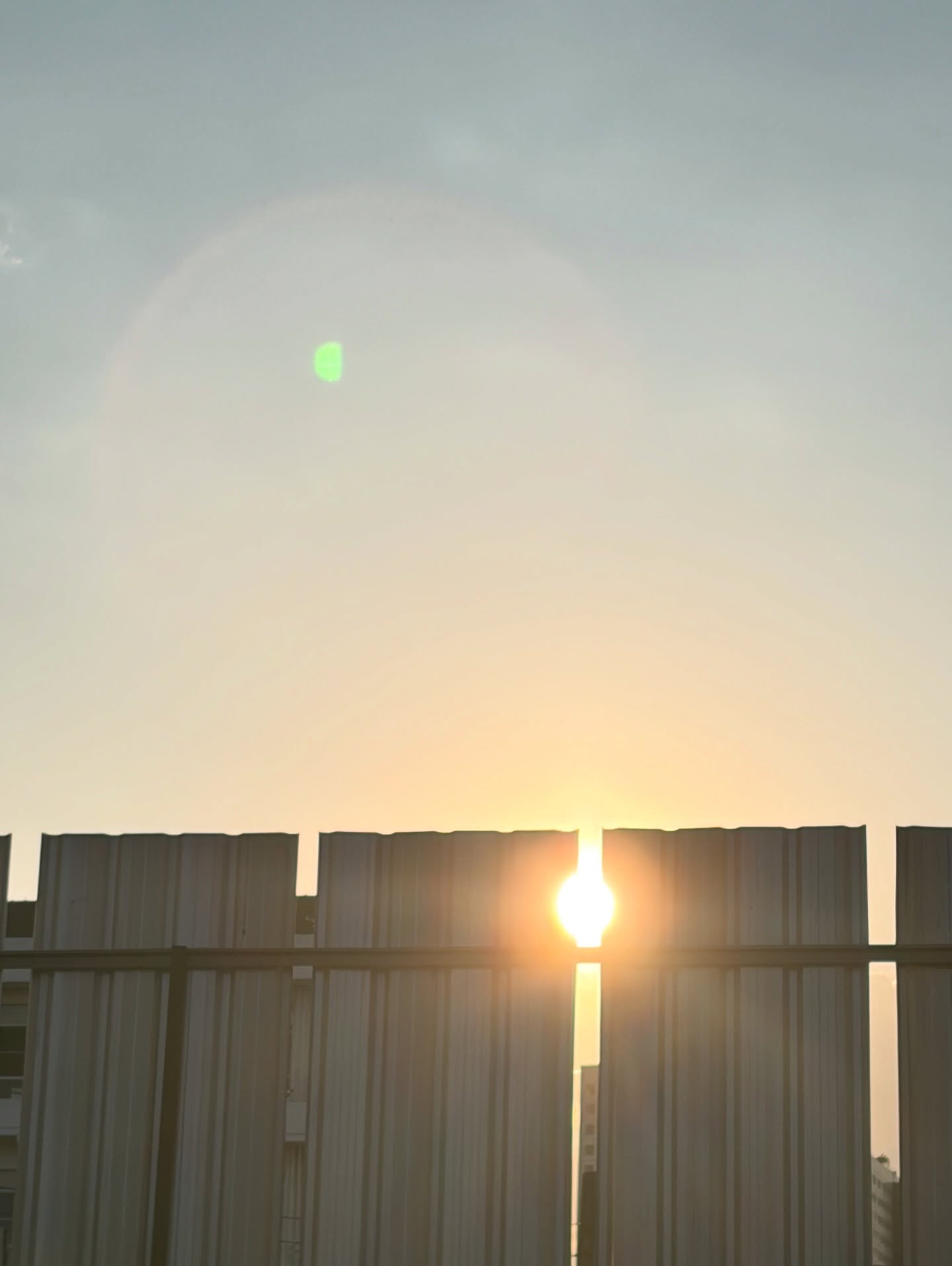 มีน - พีรวิชญ์ อรรถชิตสถาพร