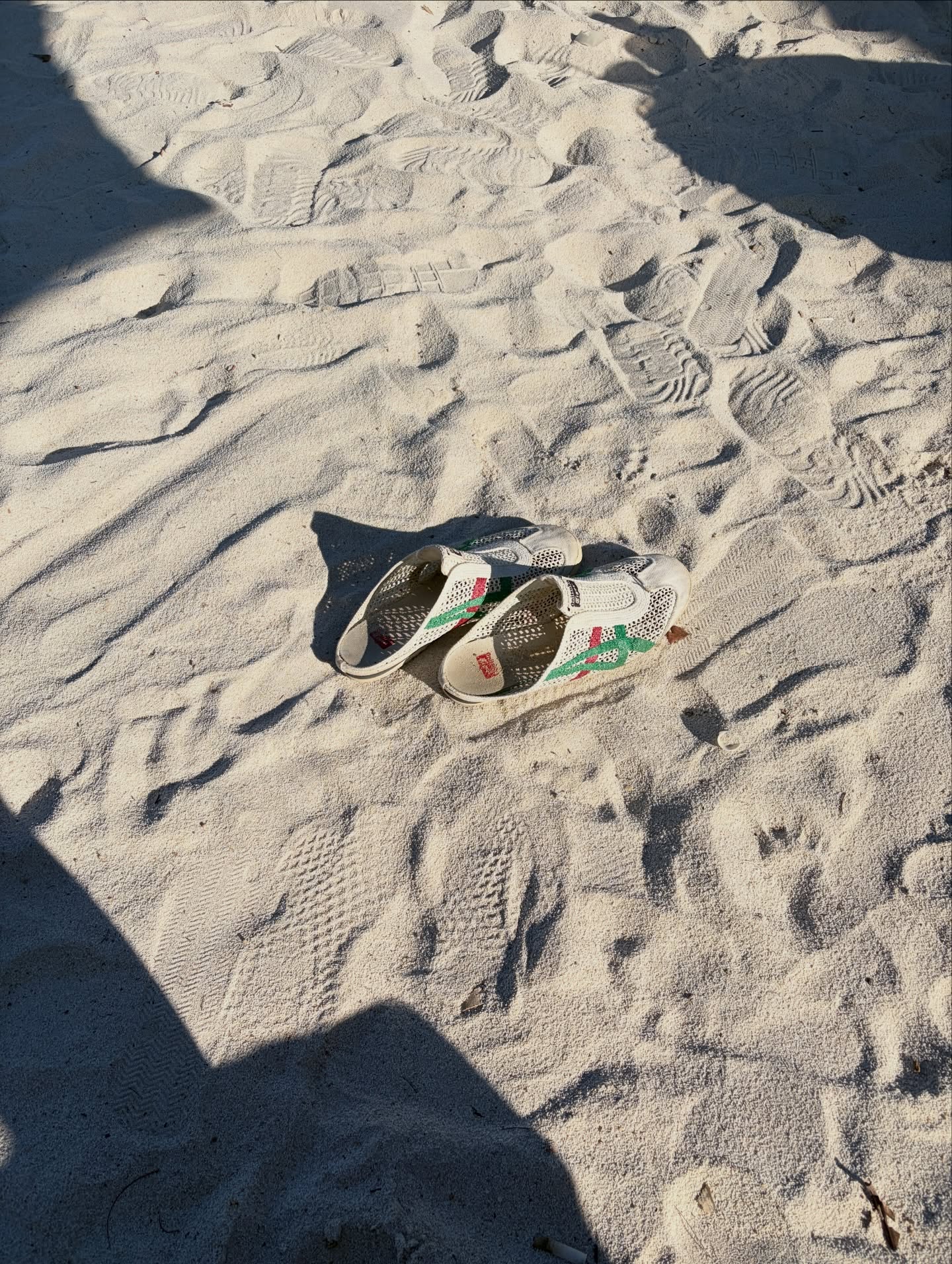 มีน - พีรวิชญ์ อรรถชิตสถาพร