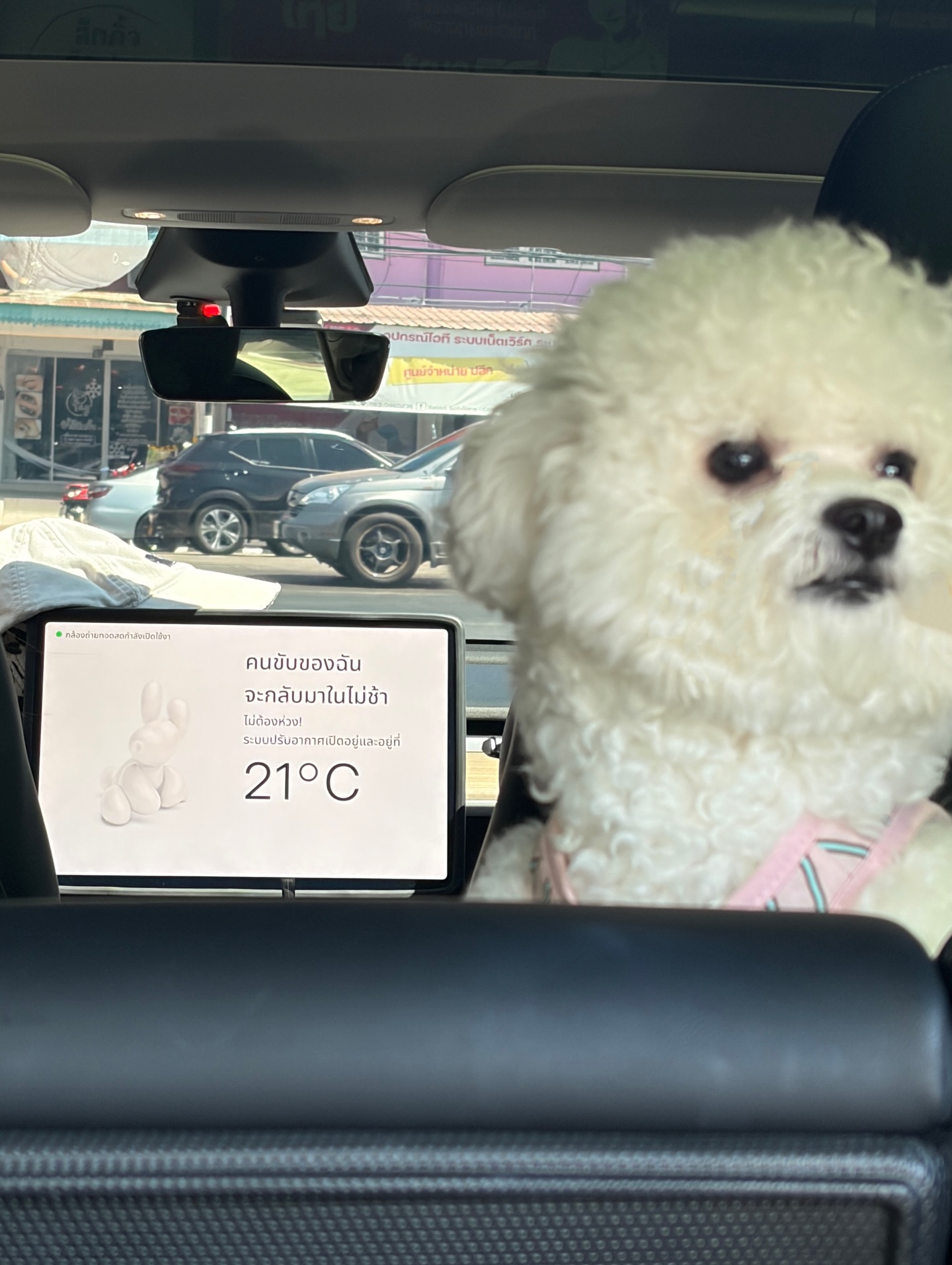 มีน - พีรวิชญ์ อรรถชิตสถาพร