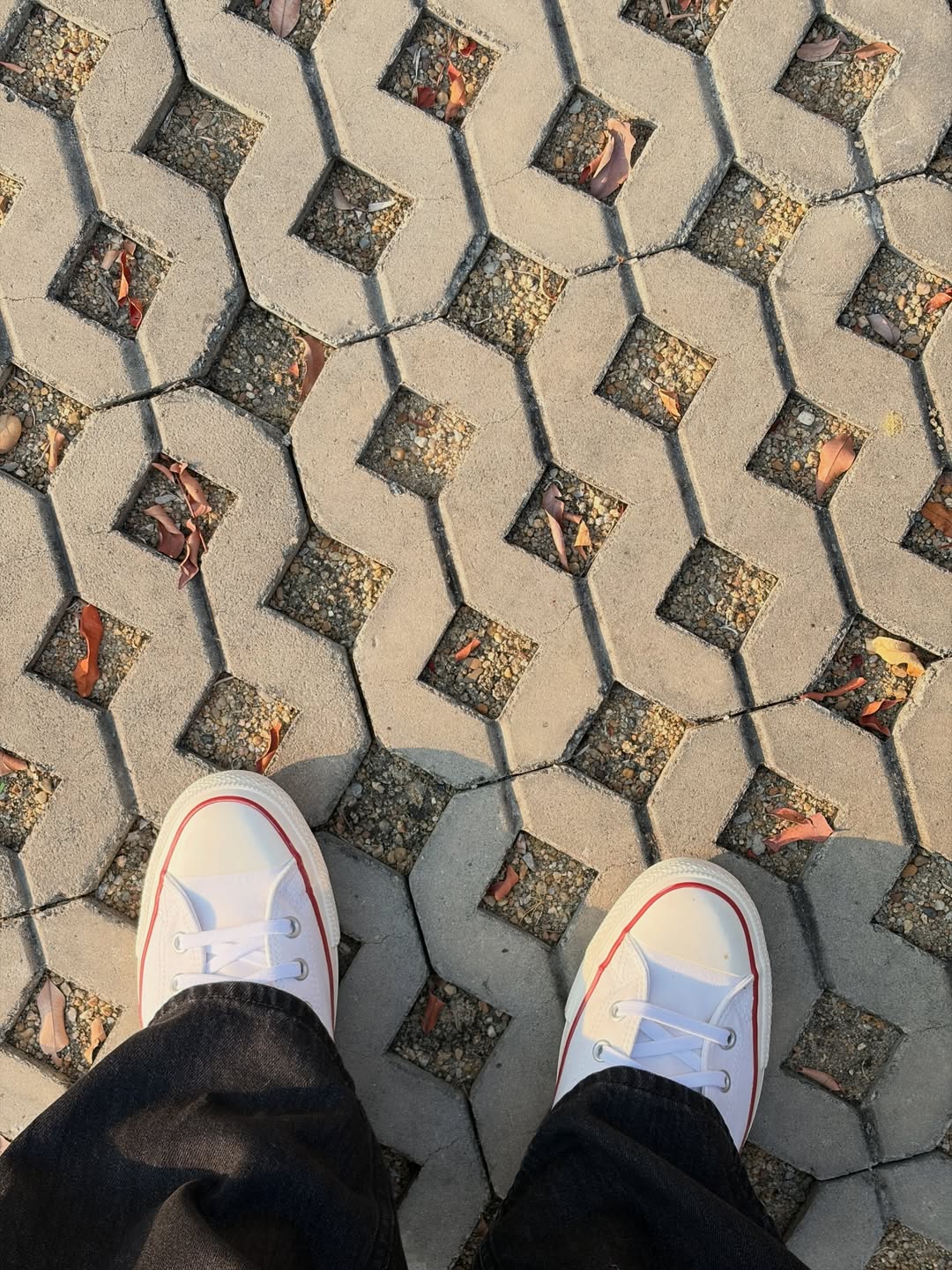 มีน - พีรวิชญ์ อรรถชิตสถาพร