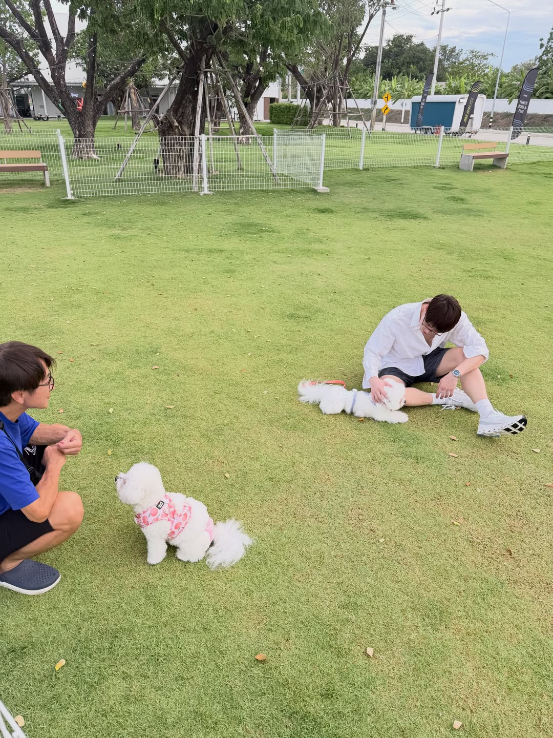 มีน - พีรวิชญ์ อรรถชิตสถาพร