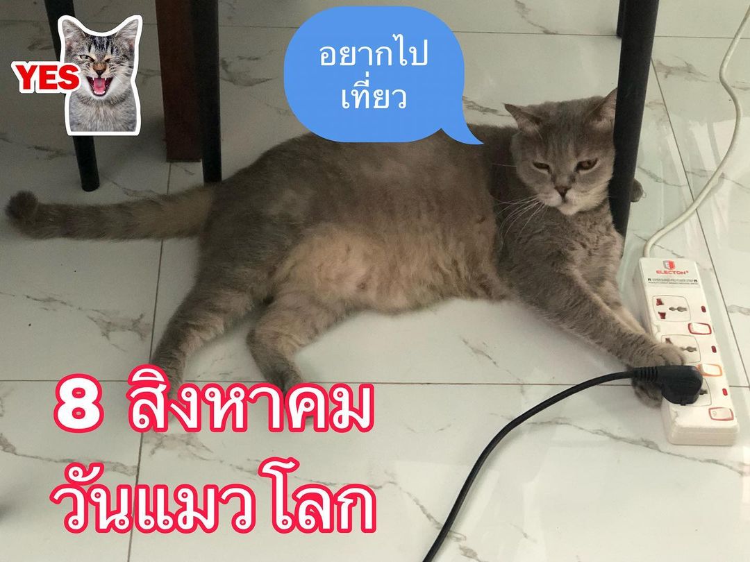 พล่ากุ้ง - วรชาติ ธรรมวิจินต์