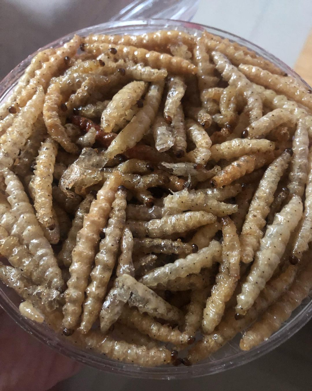 พล่ากุ้ง - วรชาติ ธรรมวิจินต์