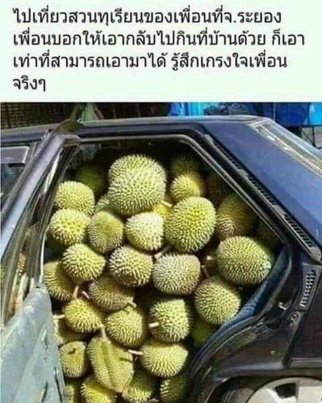 พล่ากุ้ง - วรชาติ ธรรมวิจินต์