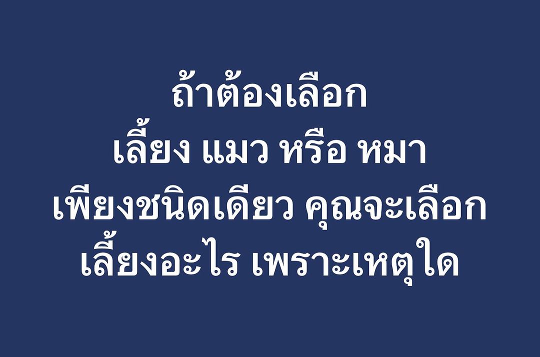 พล่ากุ้ง - วรชาติ ธรรมวิจินต์