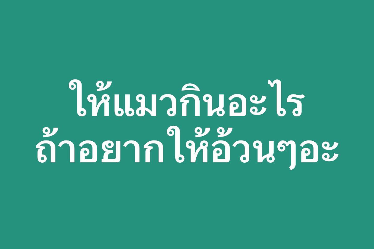 พล่ากุ้ง - วรชาติ ธรรมวิจินต์