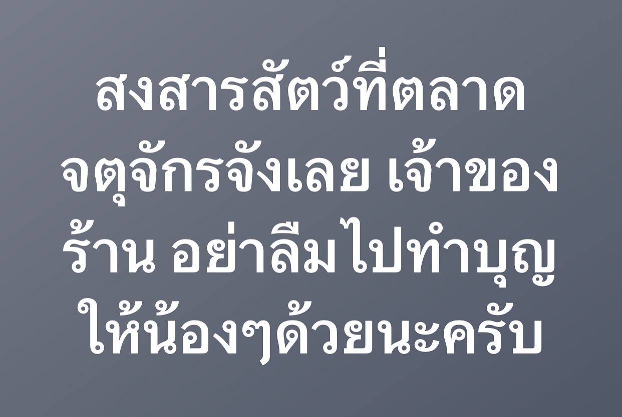 พล่ากุ้ง - วรชาติ ธรรมวิจินต์