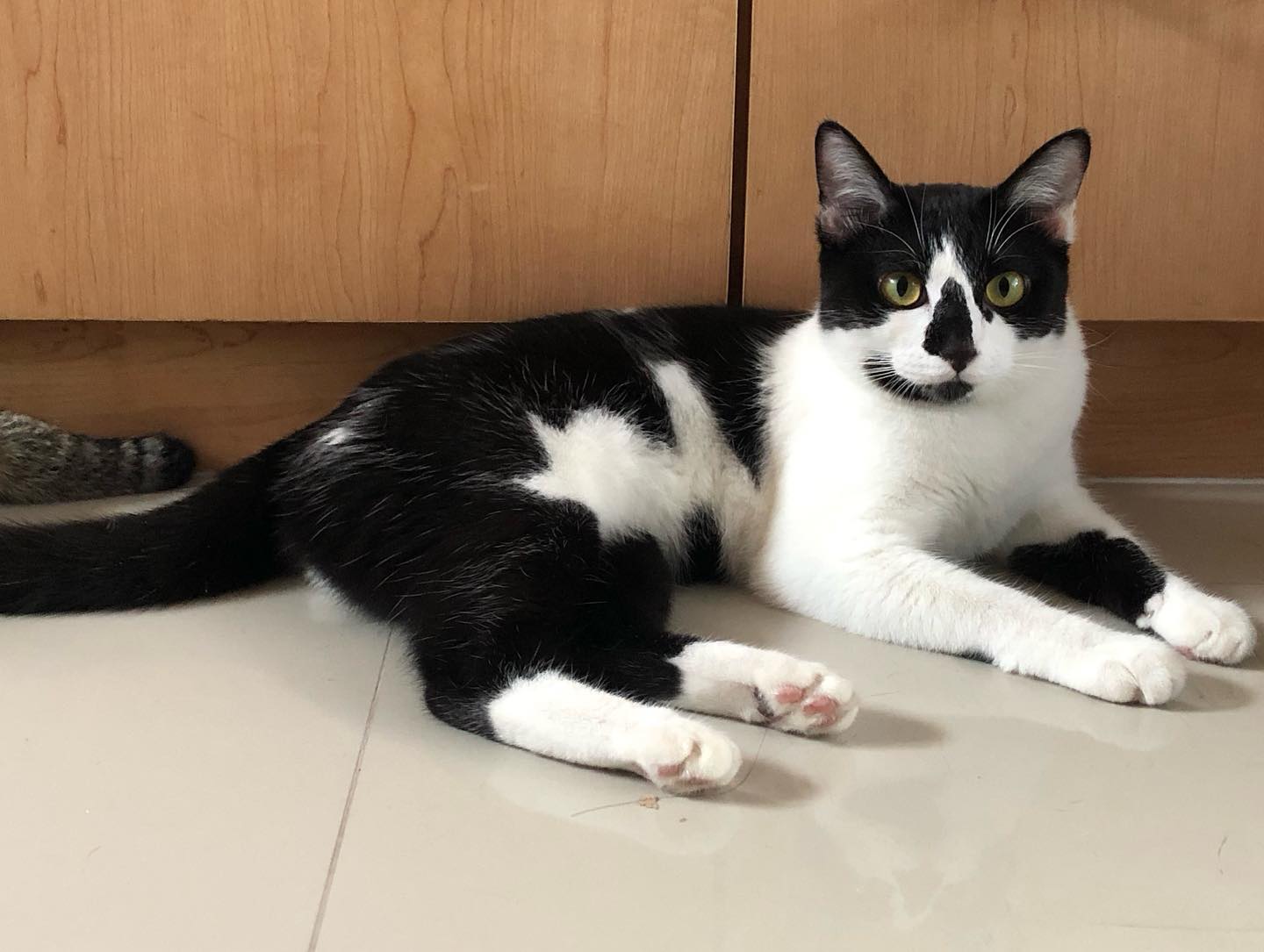 พล่ากุ้ง - วรชาติ ธรรมวิจินต์